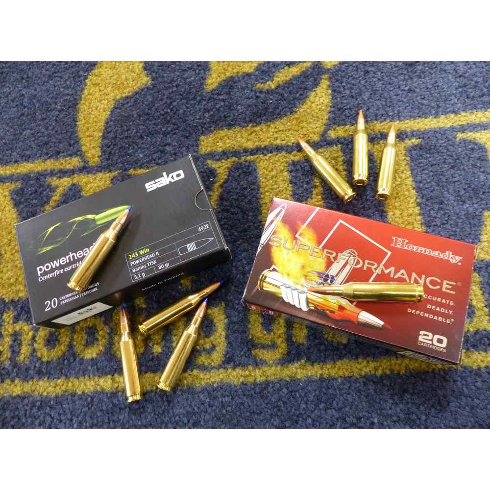 Ammunition Overview