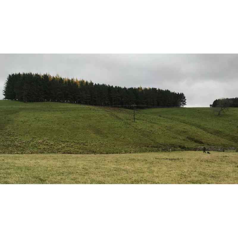 The topography produces great pheasants. 