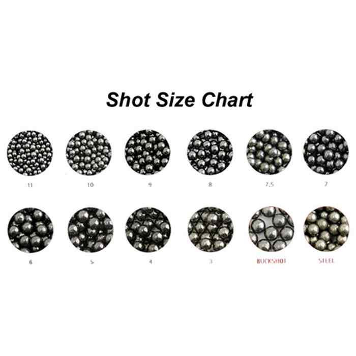 20 Gauge Shot Size Chart